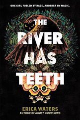 Picture of Book: The River Has Teeth